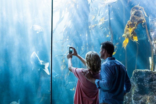 二人の仲をさらに深める!水族館デートのコツとは?