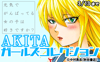 AKITA�����륺���쥯�����