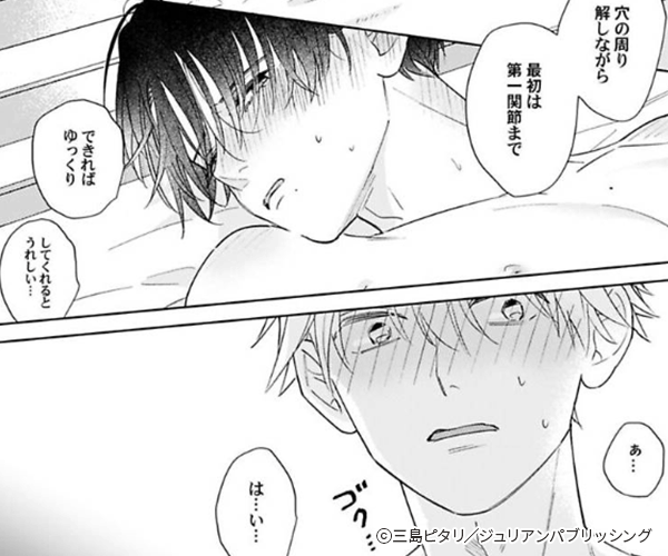 ����������ΤҤߤĤ��ȡ��ŻҸ��������������դ���