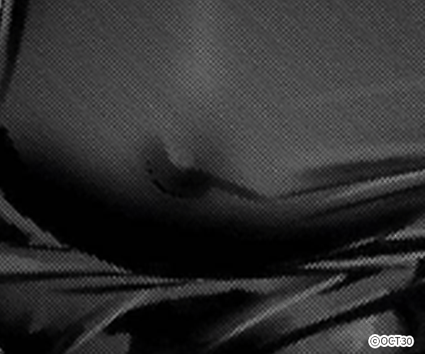 �����ݤΥ�����ꡪ��Renta�������ǡ���Ȳ���