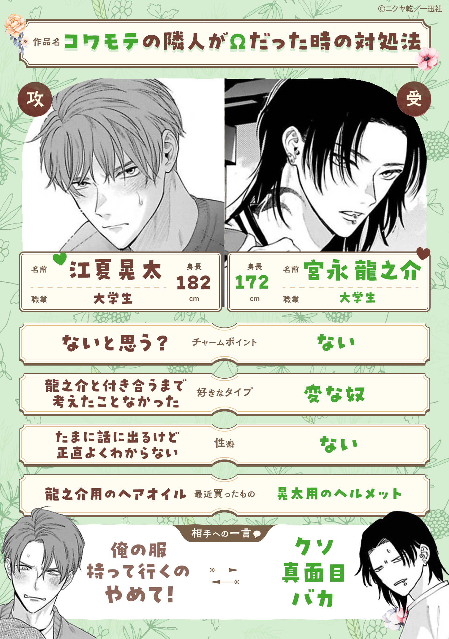 �ץ��ե��������