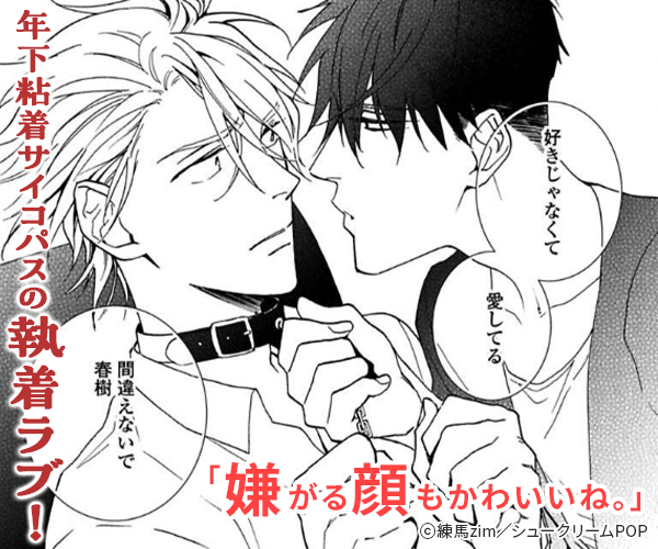 �����ȥޥ˥��å��ץ쥤�β���