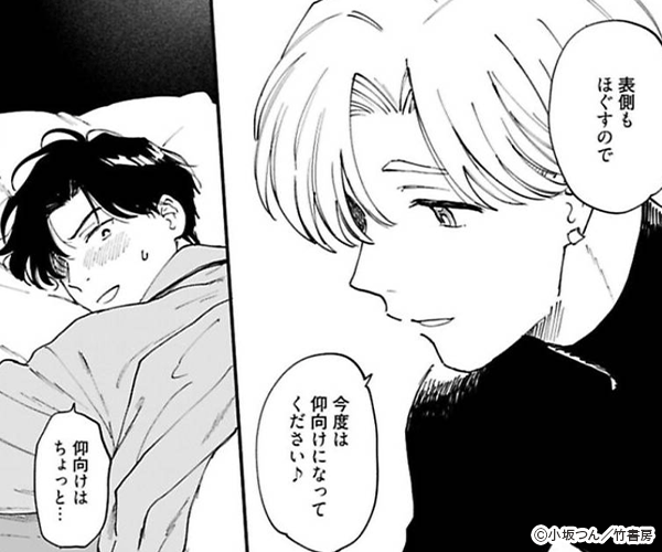 �ե��������������ȥۡ��� ���ŻҸ�����ŵ�դ��ۤΥ�٥�