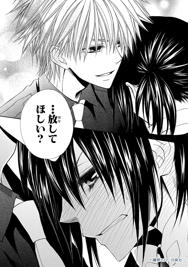 ��Ĺ�ϥᥤ���͡��Υ���ץ����