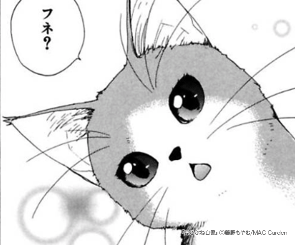 �Ϥ��֤����Υ��޲���