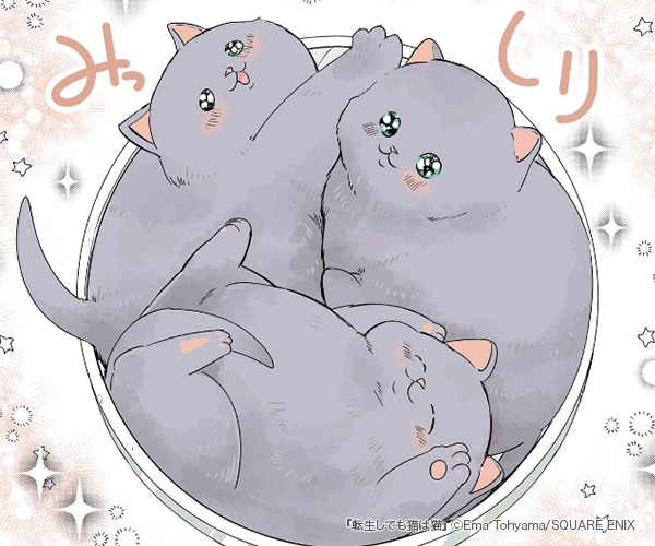 ž�����Ƥ�ǭ��ǭ�Υ��޲���