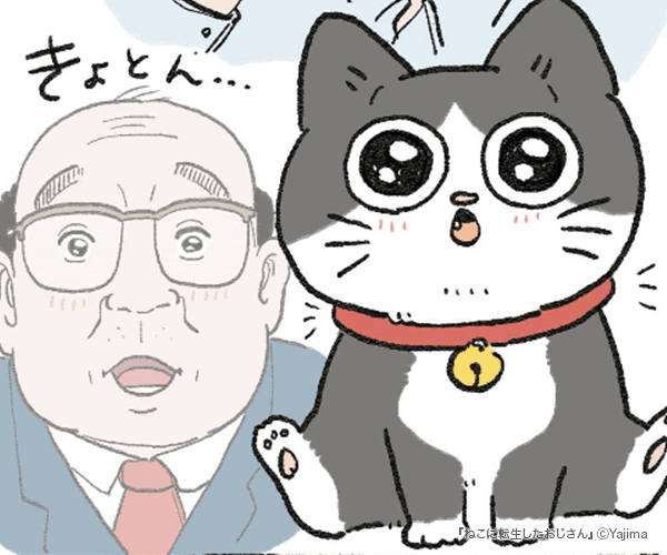 �ͤ���ž��������������Υ��޲���