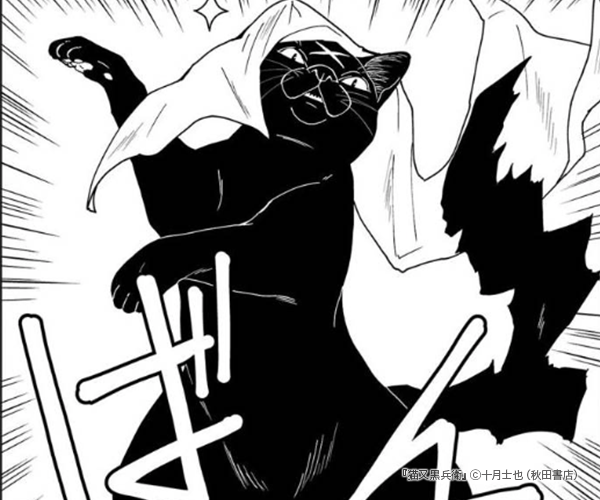 ǭ����ʼ�ҤΥ��޲���