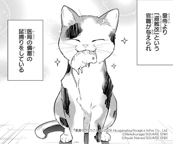 �����ΤҤȤꤴ�ȤΥ��޲���