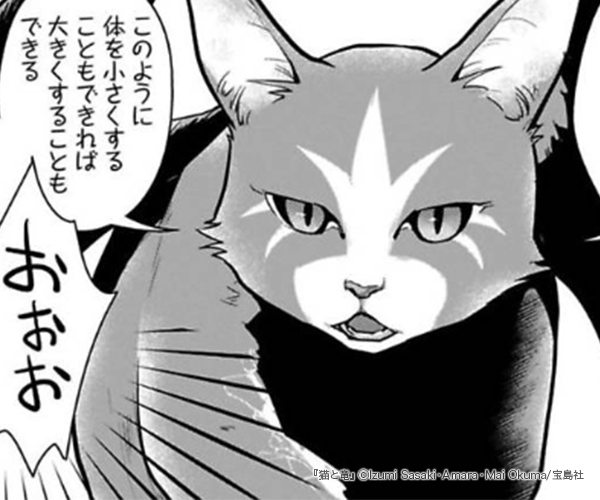 ǭ��ε�Υ��޲���