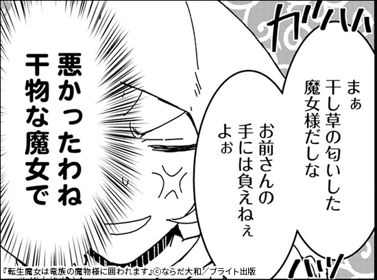 【ラブチーク】転生魔女は竜族の魔物様に囲われます