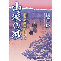山峡の城