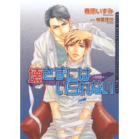 壊さずにはいられない 〜Sの恋人〜