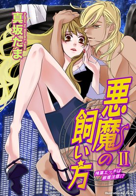 悪魔の飼い方2―残業エッチは厳重注意!?