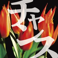 オーディオブック チャンス
