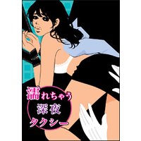 濡れちゃう深夜タクシー〜ドS運転手の××調教プレイ〜
