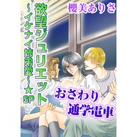 欲望ジュリエット〜イケナイ姉弟愛 3 〜★SP おさわり通学電車