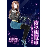 夜の観覧車〜エロチックな二十分間〜