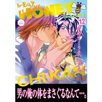b−BOY HONEY (12) 痴漢特集