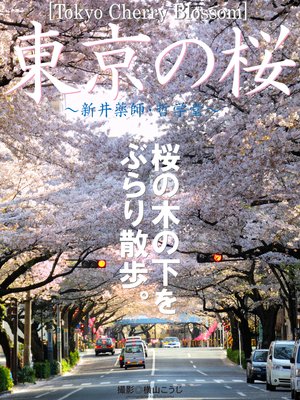 Tokyo Cherry Blossom κ աůƲ