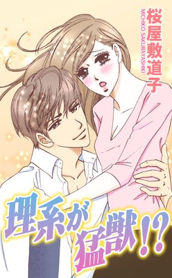 ���Ϥ��Խá���