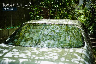 �䤬�������� vol.7 2020ǯ7���ɽ��