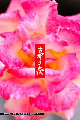 ���Ԥ����4 ���̿��� ��ë�������椯��