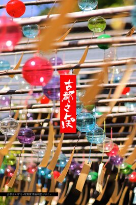 ���Ԥ����15 ���̿��� ��ë�������椯��