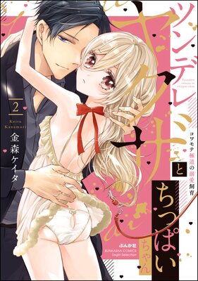 �ĥ�ǥ�䥯���Ȥ��äѤ������ �����ƶ�ƻ��Ů������ڤ���������̡���աۤ�ɽ��