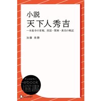小説 天下人秀吉 (―本能寺の変報、西国・関東・奥羽の戦記)