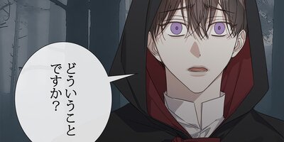 �����顼������ץ�49�áڥե륫�顼��