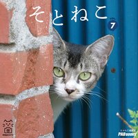 そとねこ VOL.07