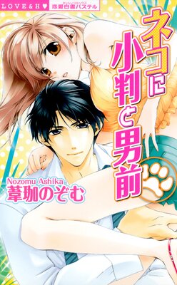 �ͥ��˾�Ƚ������