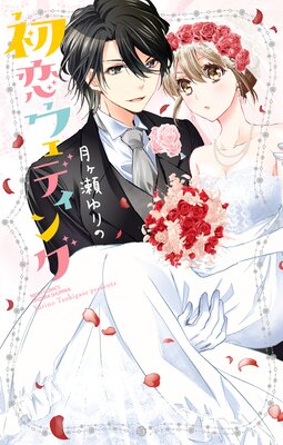 ���������ǥ���