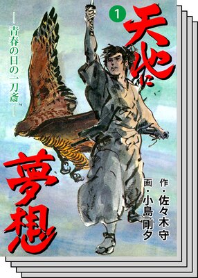 【全巻セット】天地に夢想