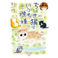 メチャイロちいき猫やってます!3〜ちいき猫はいつもご機嫌〜