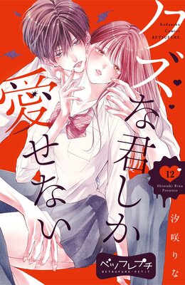 �����ʷ����������ʤ� �٥ĥե�ץ� 12��