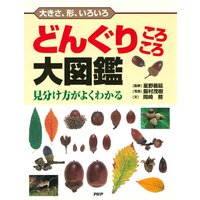 大きさ、形、いろいろ どんぐりころころ大図鑑 見分け方がよくわかる