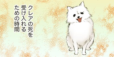 ��������ա��� �޺� 4�ڥե륫�顼��