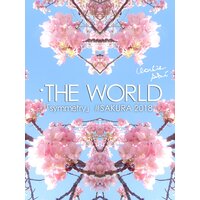：THE WORLD − 「symmetry」＃SAKURA 2018