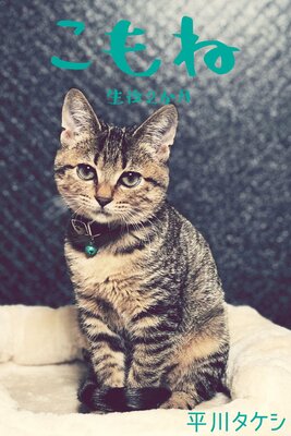 ����͡�����2�������ɽ��