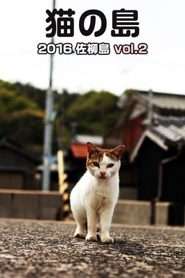ǭ 2016  vol.2