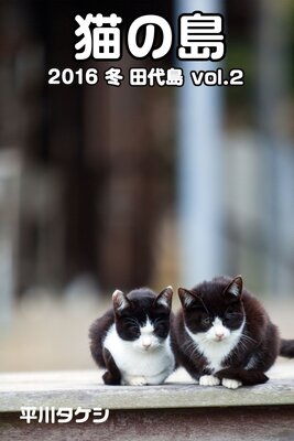 ǭ 2016   vol.2