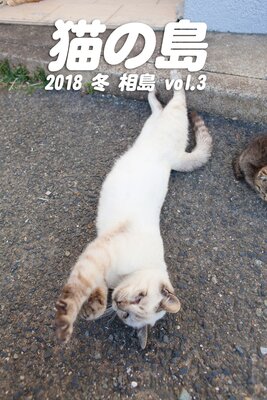 ǭ 2018   vol.3