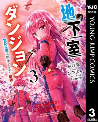 �ϲ������󥸥�� ����˳����ϸ�ڤ���ƺǶ��ء� 3