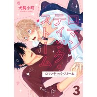 ロマンティック・ストーム try.3