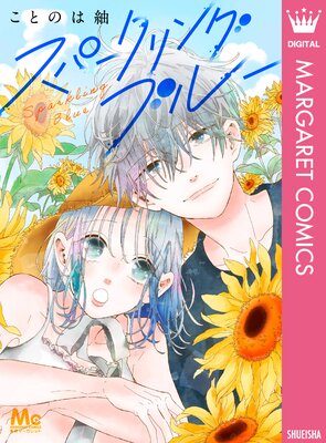 ���ѡ�����󥰥֥롼��ɽ��