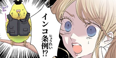 �������������ۡڥե륫�顼�� 72