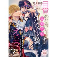 目覚めたら、見知らぬイケメン騎士とえっちしてました!? 記憶喪失の新妻は甘くみだらに思い悩む