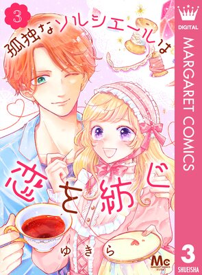 ���Ȥʥ��륷������������¤� 3